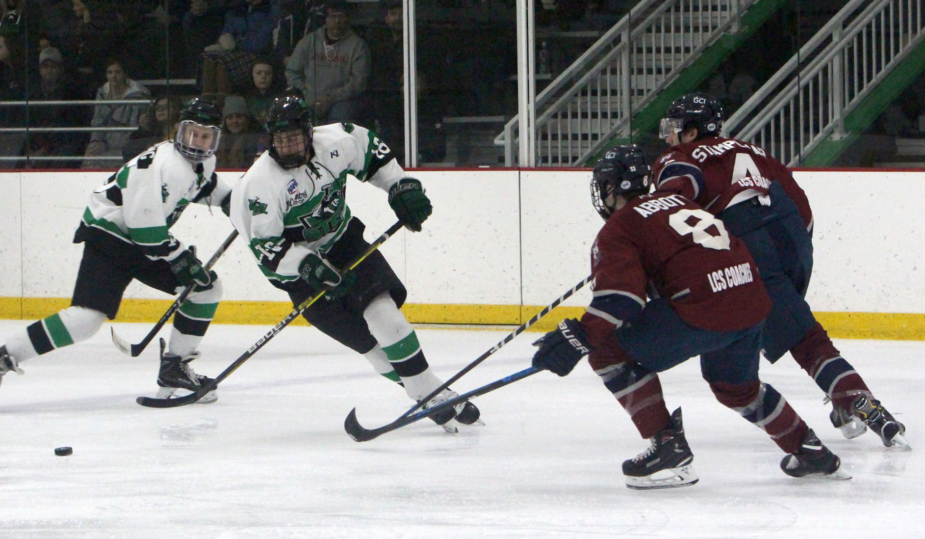 Fairbanks Ice Dogs at Chippewa Steel 12-29-18